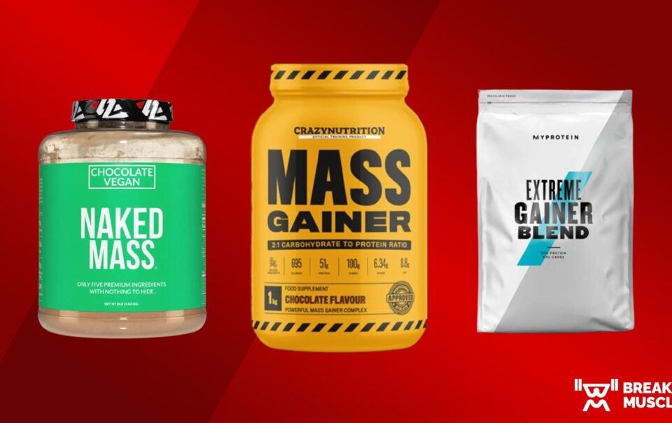 the-8-best-mass-gainers-to-help-you-bulk-up-fast-|-breaking-muscle