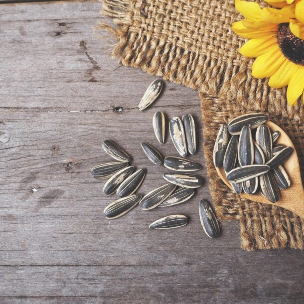 sunflower-seeds-and-its-health-benefits-healthifyme