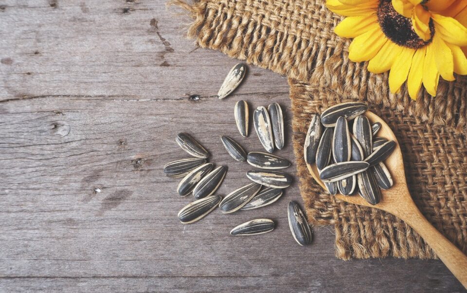 sunflower-seeds-and-its-health-benefits-healthifyme