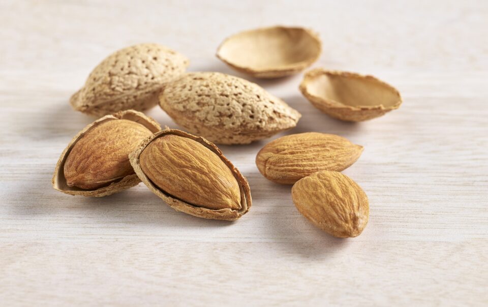 health-benefits-of-adding-almonds-into-daily-fitness-regime-–-blog-–-healthifyme